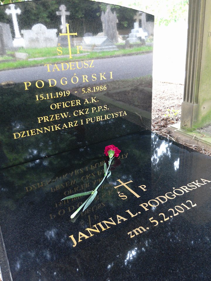 13435954_500990580101703_1760981051_n