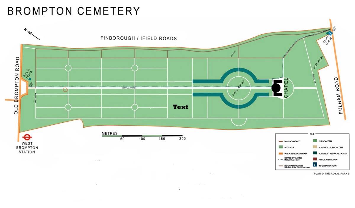 64967763_487851391966094_6926666957110378496_n